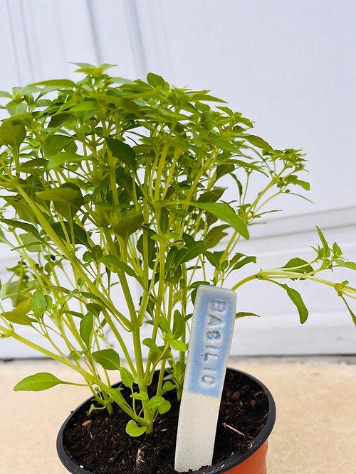 Marqueur de plantes - Charlottetrehel.com