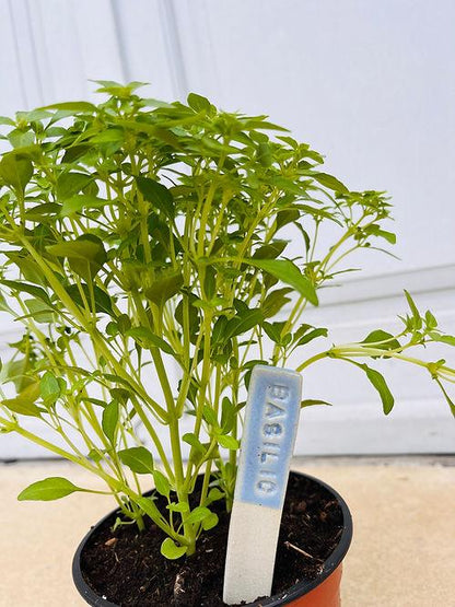 Marqueur de plantes - Charlottetrehel.com